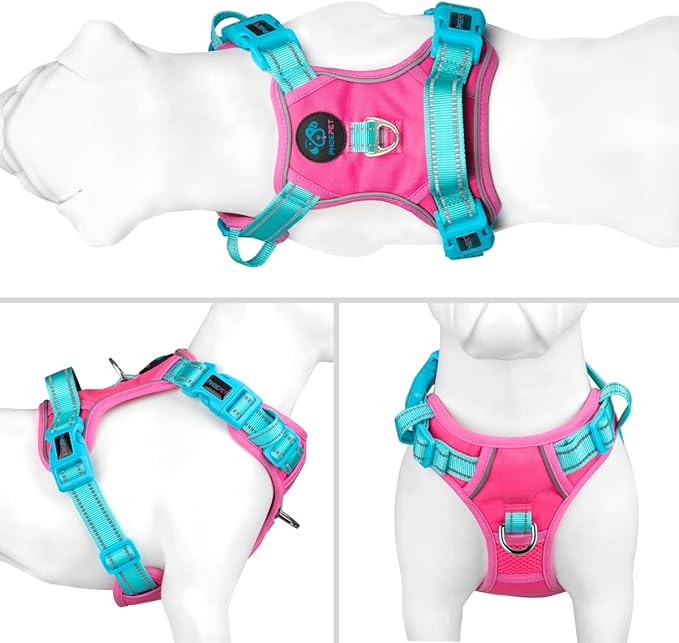 PHOEPET No Pull Dog Harness, Unique Colors Reflective Adjustable Dog Vest, with Soft Training Handle Metal Clips for Small Medium Large Dogs (Pink Base & Green Straps,XS)