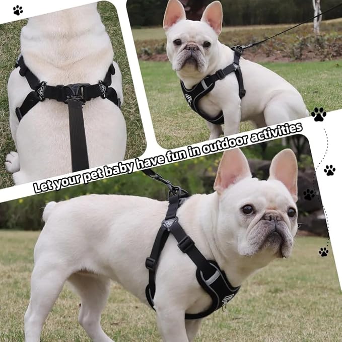 Dog Harness and Leash Set, Adjustable Triangle, Reflective Adjustable Puppy Vest, No Pull Soft Mesh Harness for Small, Medium Dogs, Cats (Black, XL)
