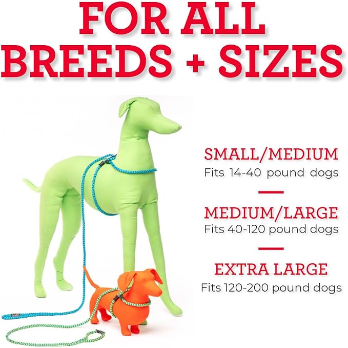 Harness Lead No Pull Dog Harness and Leash Set, Anti Pull Dog Harness, One-Piece Cushioned Rope Safely Prevents Escaping and Pulling *New Insert is Removable (Medium/Large, Pink/Purple)