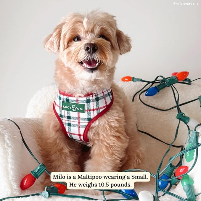 Lucy & Co. Cute Reversible Dog Harness Walking Halter - Best Designer Pet Harnesses for XS - XL Dogs - Padded Adjustable Vest for Easy Walking-Large-Gray & White Snowman