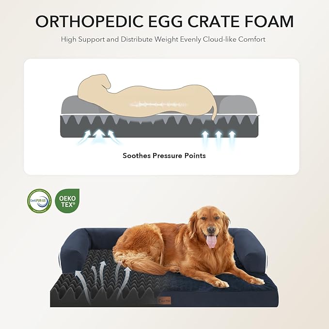 Orthopedic Dog Beds for Large Sized Dogs, Waterproof Egg Crate Foam Medium Dog Couch Beds for Crate 35x22Inch, Washable Pet Beds with Removable Cover and Nonskid Bottom, Navy Blue