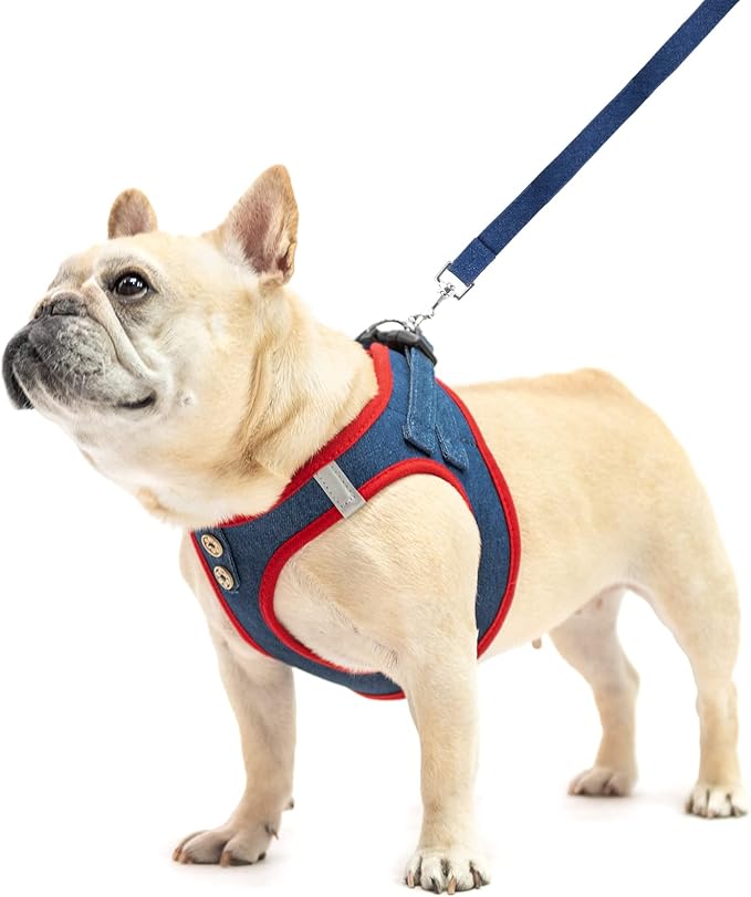 PUPTECK Dog Harness and Leash Set for Small Medium Dogs No Pull Step-in Soft Mesh Puppy Cat Vest Harnesses Reflective at Night, Denim NavyBlue M