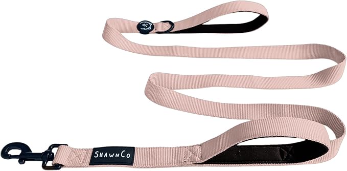 ShawnCo Dream Walk Dog Leash- Premium, Nylon Pet Leash with Soft Neoprene Handle for Small, Medium and Large Dogs (Rose Gold, M/L 6FT w/ 2 Handles)