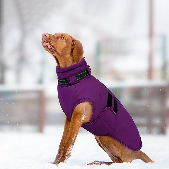 IECOii Small Dog Coat, Waterproof Dog Snow Jacket with Built in Collar, Thermal Fleece Lined for Cold Weather, Safety Reflective Dogs Winter Coat for Nighttime Walks, Easy On/Off, Purple - M