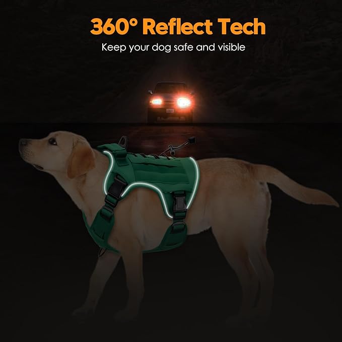 Heavy-Duty Tactical Dog Harness for Large Dogs, No Pull Adjustable Reflective Pet Vest with Molle System, K9 Military-Grade Control for Service Training, Outdoor & 10+ Breeds, Turquoise, XX-Large