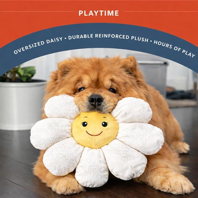 Flourish Pets 3 in 1 Multi-Layer Chew Toy for Active Dogs | Non-Toxic BPA Free Double Stitched Soft Fabric Exterior Dog Toys | Long-Lasting Dog Plush Toys - Large White Daisy 17"