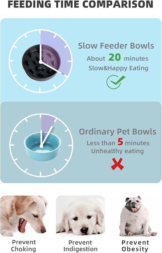 HAOTOP Ceramic Fun Slow Feeder Bowl, Porcelain Slow Eater Bowl for Medium Sized Dogs (Black)