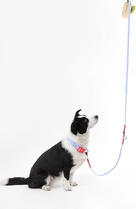 WLK1006E-5SET Luna Large 8FT Adjustable 6-in-1 Waterproof Hands-Free Leash and Collar with LED Flashlight, Bag Dispenser, and Poop Bag Holder, Sangria