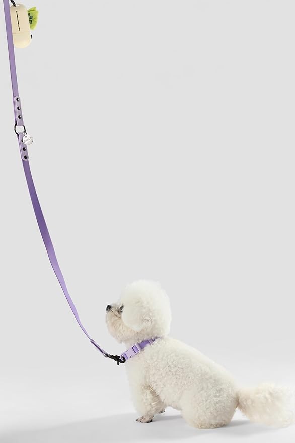 WLK1004H-5SET Luna Small 8FT Adjustable 6-in-1 Waterproof Hands-Free Leash and Collar with LED Flashlight, Bag Dispenser, and Poop Bag Holder, Bramble