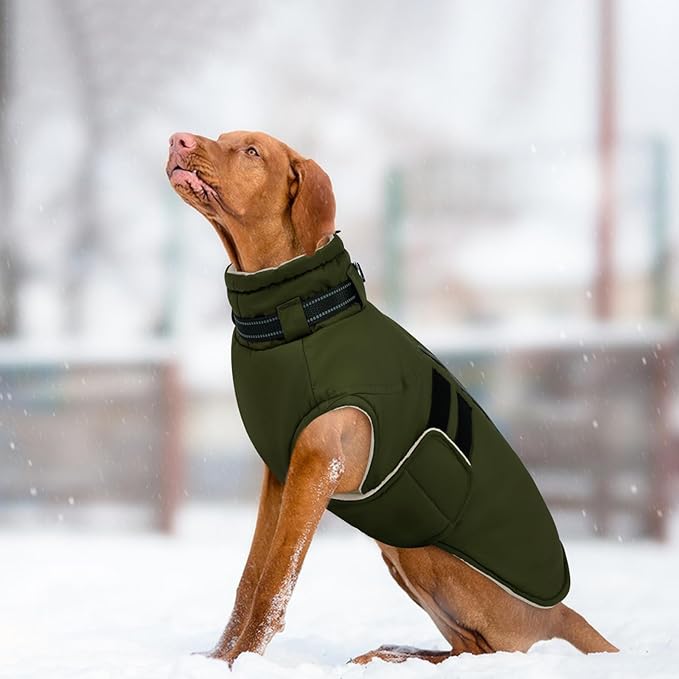 IECOii Small Dog Coat, Waterproof Dog Snow Jacket with Built in Collar, Thermal Fleece Lined for Cold Weather, Safety Reflective Dogs Winter Coat for Nighttime Walks, Easy On/Off, Army Green - M