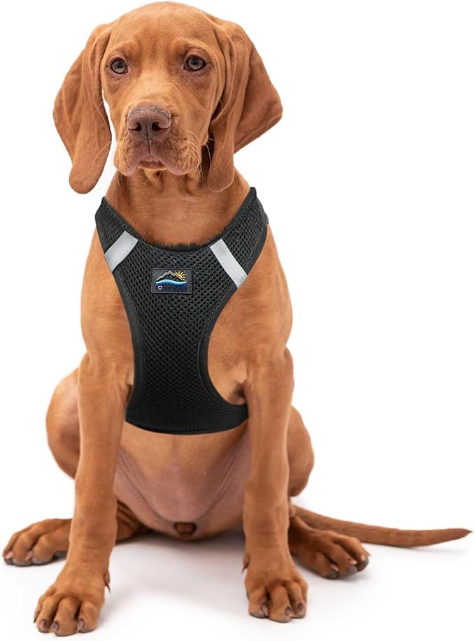 Doggie Design Dog Harness - No Choke Dog Harness, Dog Vest, Mesh Polyester, Pet Harness, Simple Step in and Go Design, Harness for Dog - Black, 2XL/3XL