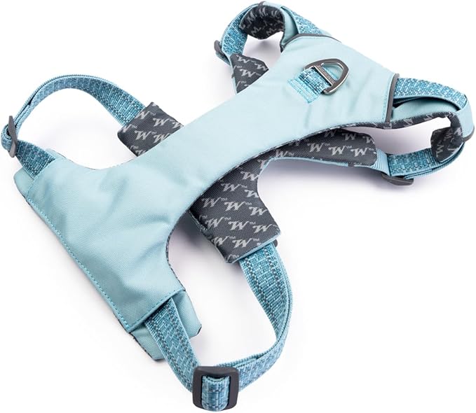 Winchester Pet No-Pull Adjustable Soft Padded Dog Vest Harness with Reflective Stitching, Aqua Haze, Small