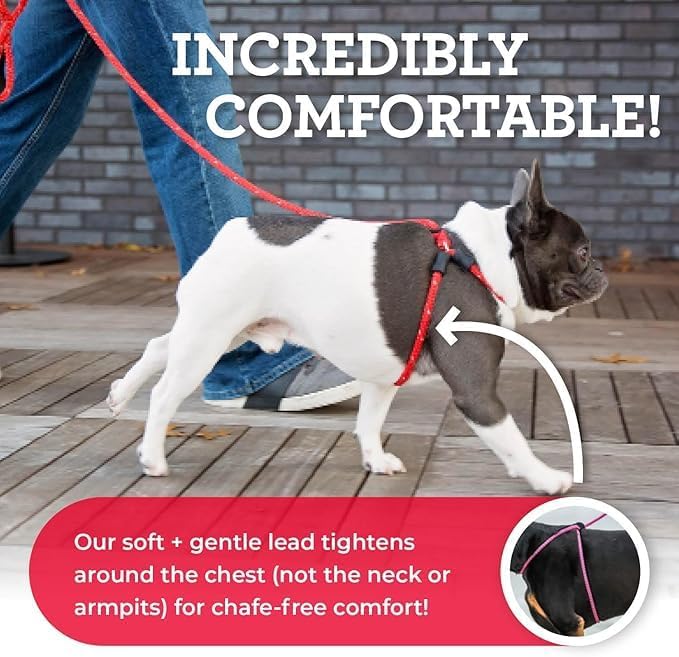 Harness Lead No Pull Dog Harness and Leash Set, Anti Pull Dog Harness, One-Piece Cushioned Rope Safely Prevents Escaping and Pulling *New Insert is Removable (Small/Medium, Rainforest)