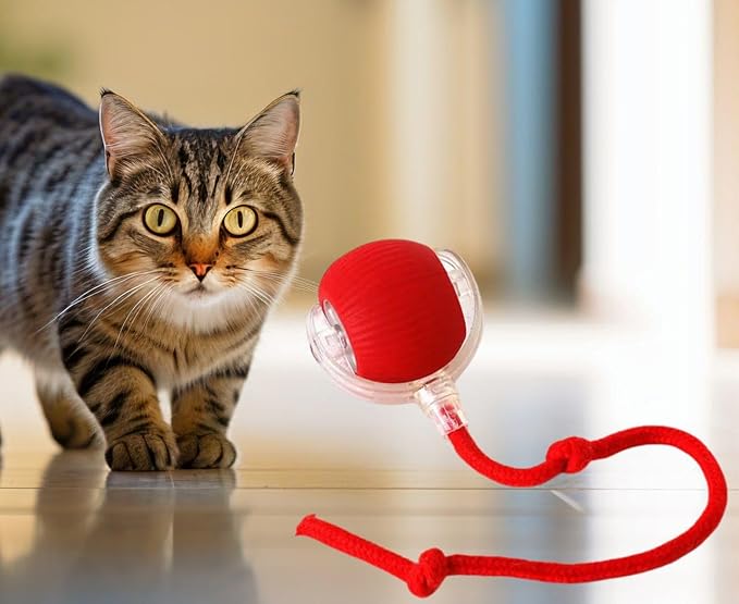 Cat Smart Rolling Ball [RED], LED Lights, Indoors for Active Cats - Rechargeable, Automatic, Speedy Tail/Rope