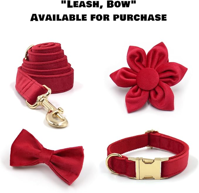Velvet Personalized Dog Collar with Name - Customizable Dog Collar with Quick Release Metal Buckle - Leash and Bow Tie Available (Red, S)