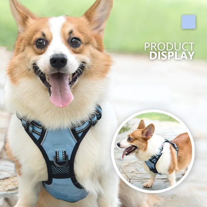 PoyPet No Pull Dog Harness, [Release at Neck] Reflective Adjustable No Choke Pet Vest with Front & Back 2 Leash Attachments, Soft Control Training Handle for Small Medium Large Dogs(Light Blue,XS)