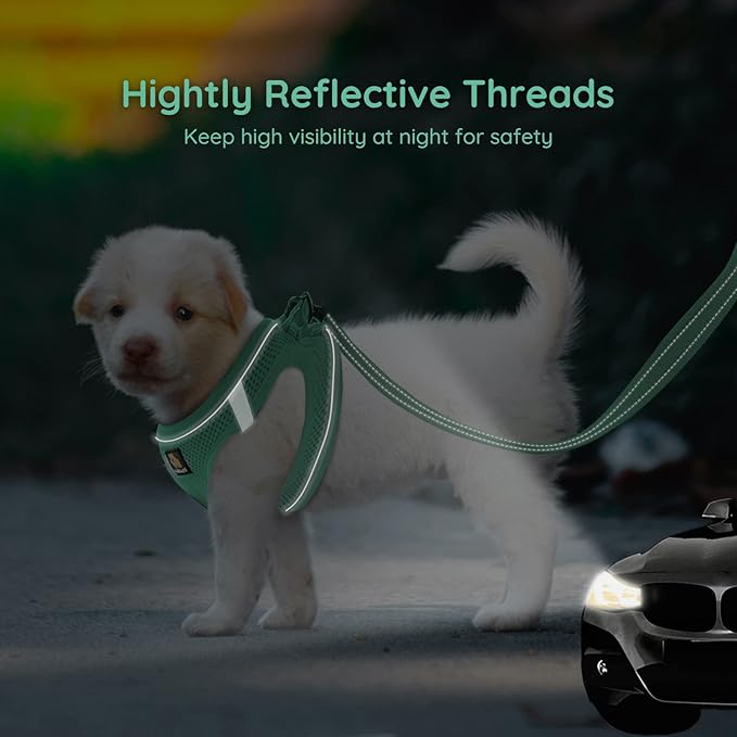 BELLA & PAL Step in Vest Harness for Small and Medium Dogs, No Pull Small Dog Harness with Leash Set, Comfortable Air Mesh Dog Vest Harness with Reflective Strip (Emerald, XS)