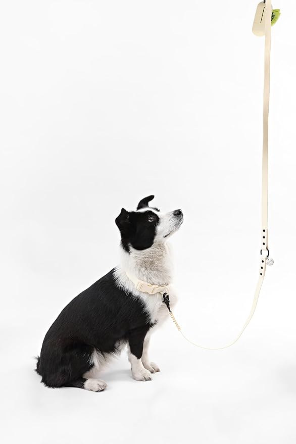 WLK1006L-5SET Luna Large 8FT Adjustable 6-in-1 Waterproof Hands-Free Leash and Collar with LED Flashlight, Bag Dispenser, and Poop Bag Holder, Bailey