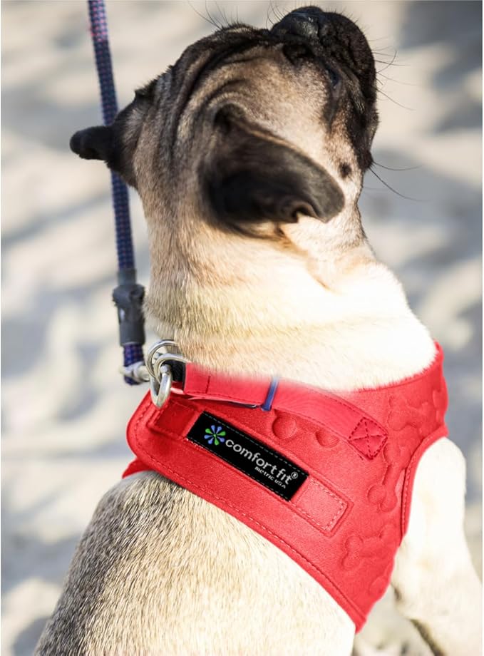 Comfort Fit All Weather Dog Harness No Pull Soft Padded Extra Comfort Step in Dog Harness with Adjustable Buckles Easy Control Vest Harness for Small Medium Large Dogs Inside Velvet Plush