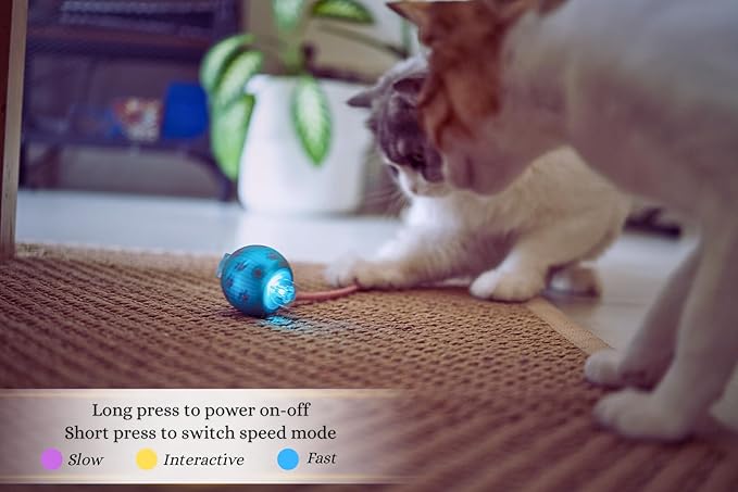 Interactive Cat Toys for Indoor Cats | Premium Quality with 3 Detachable Tails | Automatic Speed Modes with Real-Motion Movement | Rechargeable | Fun for Bored Adult Cats and Kittens