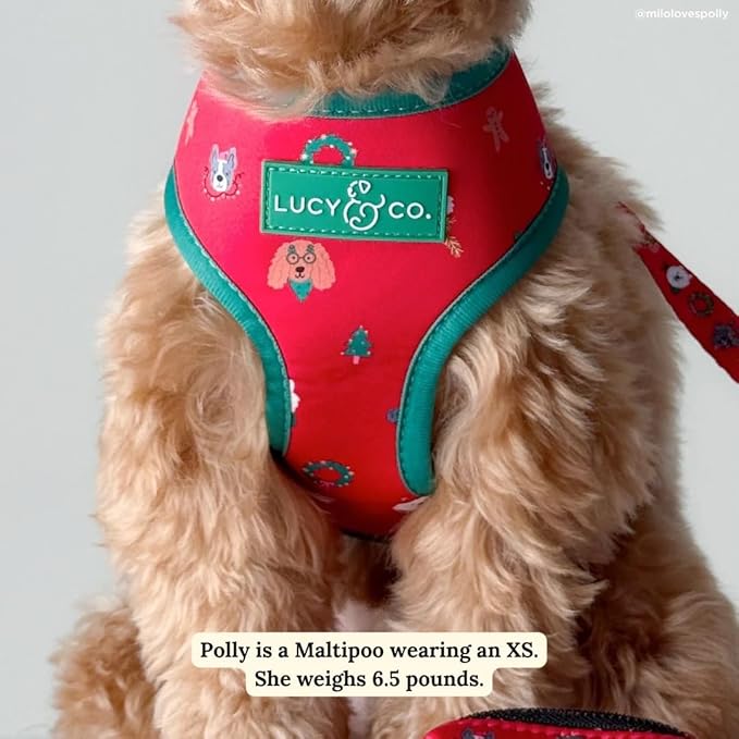 Lucy & Co. Cute Reversible Dog Harness Walking Halter - Best Designer Pet Harnesses for XS - XL Dogs - Padded Adjustable Vest for Easy Walking- Happy Howlidays - Seasonal - XSmall