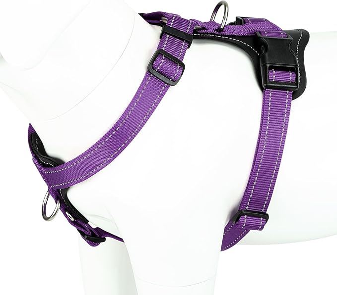 Plutus Pet Adjustable No Pull Dog Harness with Leather Accents, Heavy Duty Reflective Nylon Vest for Training, Hiking, Easy Walk Harness for Small, Medium, Large Dogs (Purple, L)