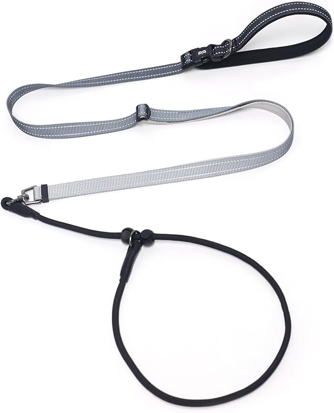 QQPETS Adjustable Slip Lead Dog Leash, Hands Free Waist Leash for Dog Walking, Reflective Training Lead with 360° Swivel Anti-Tangle, 4-7 ft Length for All Breeds