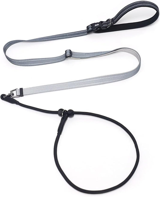 QQPETS Adjustable Slip Lead Dog Leash, Hands Free Waist Leash for Dog Walking, Reflective Training Lead with 360° Swivel Anti-Tangle, 4-7 ft Length for All Breeds