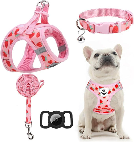 EXPAWLORER Small Dog Harness and Leash Set - Cute Puppy Harness Leash Dog Collar with AirTag Holder Silicone Case, Soft Padded Step in Pet Vest Reflective for Outdoor Walking, Strawberry M
