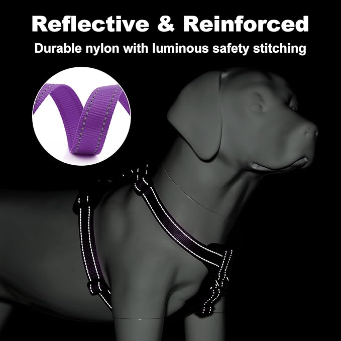 Plutus Pet Adjustable No Pull Dog Harness with Leather Accents, Heavy Duty Reflective Nylon Vest for Training, Hiking, Easy Walk Harness for Small, Medium, Large Dogs (Purple, XL)