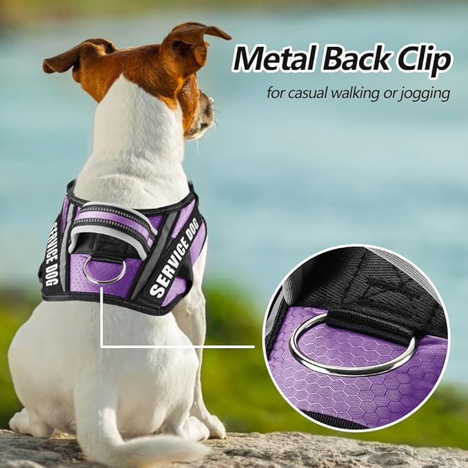Dog Vest Harness and Patches Set, Animire in Training Service Dog Harness with 10 Dog Patches, Reflective Dog Vest with Handle for Small, Medium, Large, and Extra-Large Dogs
