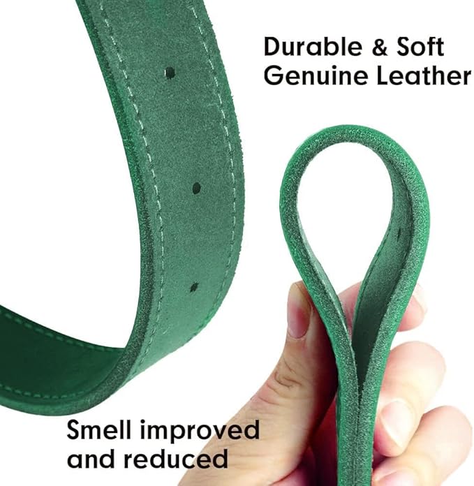 Didog Genuine Leather Dog Collars with Engraved Nameplate, Personalized Soft Leather Dog Collar with Custom ID Tag, Brown/Green/Red for Small Dogs (M,Green)