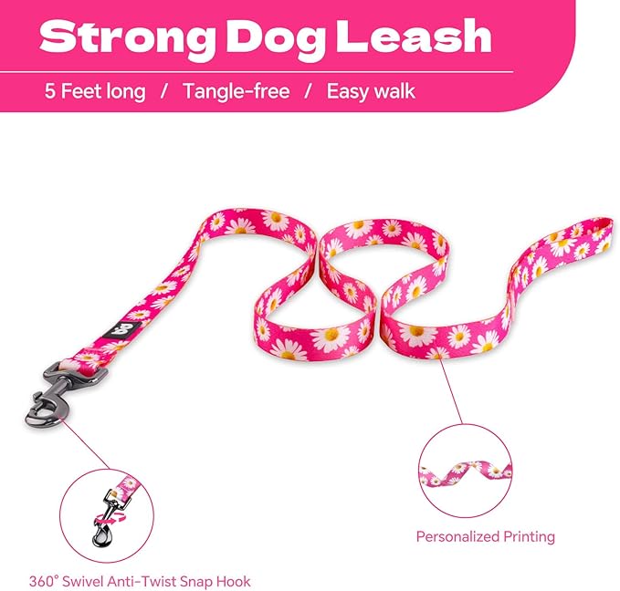 QQPETS Dog Harness Leash Set Adjustable Heavy Duty No Pull Halter Harnesses for Small Medium Large Breed Dogs Back Clip Anti-Twist Perfect for Walking (L(23"-32" Chest Girth), Daisy)