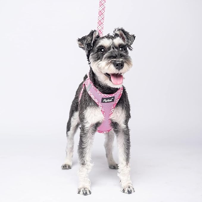 PUPTECK Dog Harness and Leash Set for Small Medium Dogs No Pull Step-in Soft Mesh Puppy Cat Vest Harnesses Reflective at Night, Pink S