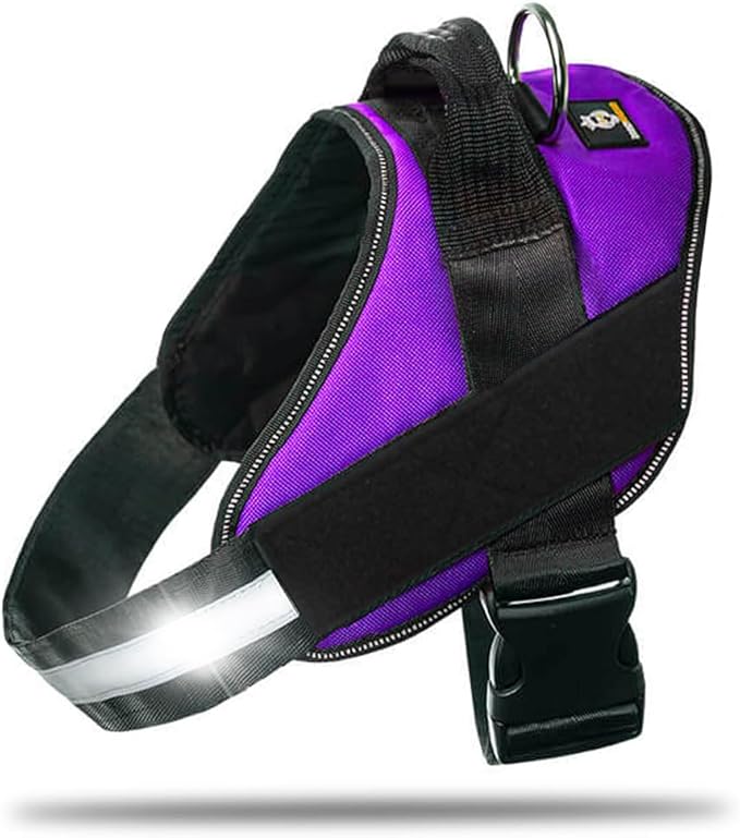 DOGGYKINGDOM Non Pull Dog Harness with Patch Panels and Handle, Adjustable, Reflective, No Choke, Heavy Duty Easy On Service Dog Vest Harnesses for Medium Large Small Sized Dogs - Purple, XL