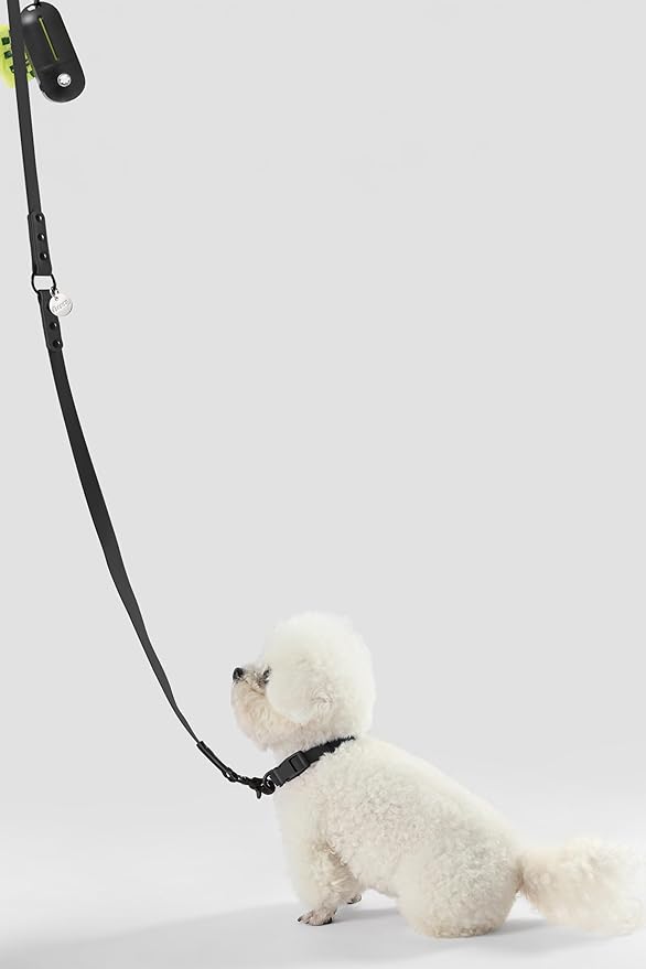 WLK1004I-5SET Luna Small 8FT Adjustable 6-in-1 Waterproof Hands-Free Leash and Collar with LED Flashlight, Bag Dispenser, and Poop Bag Holder, Bitters