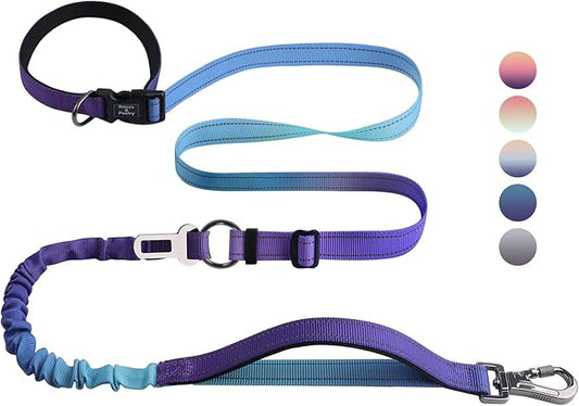 Roses&Poetry Hands Free Dog Leash for Medium Large Dogs Heavy Duty, No Pull Bungee Dog Running Waist Leash for Walking Training with Car Seatbelt 4-6FT