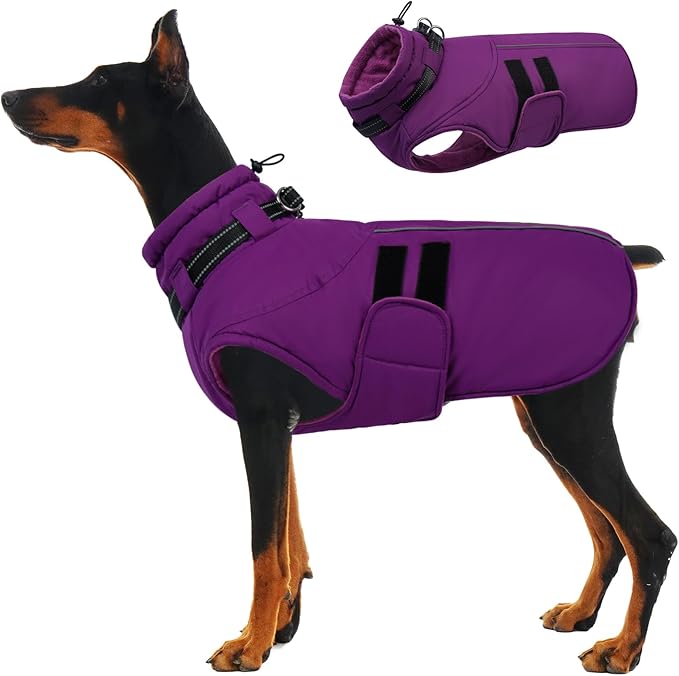 IECOii XXXL Dog Coat for Large Dogs Waterproof Dog Jacket with Collar Built in, Reflective Winter Jacket with Fleece Lined Warm Cold Weather Coats for Extra Large Dogs, Great Dane, Purple - 3XL