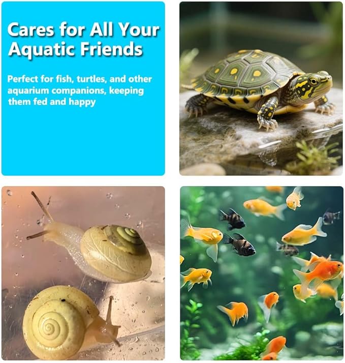 Automatic Fish Feeder for Aquarium Vacation, 200ML Large Capacity Auto Fish Food Dispenser with Timer Display for Small Tank Turtle Betta Koi, Big Aquariums & Pond