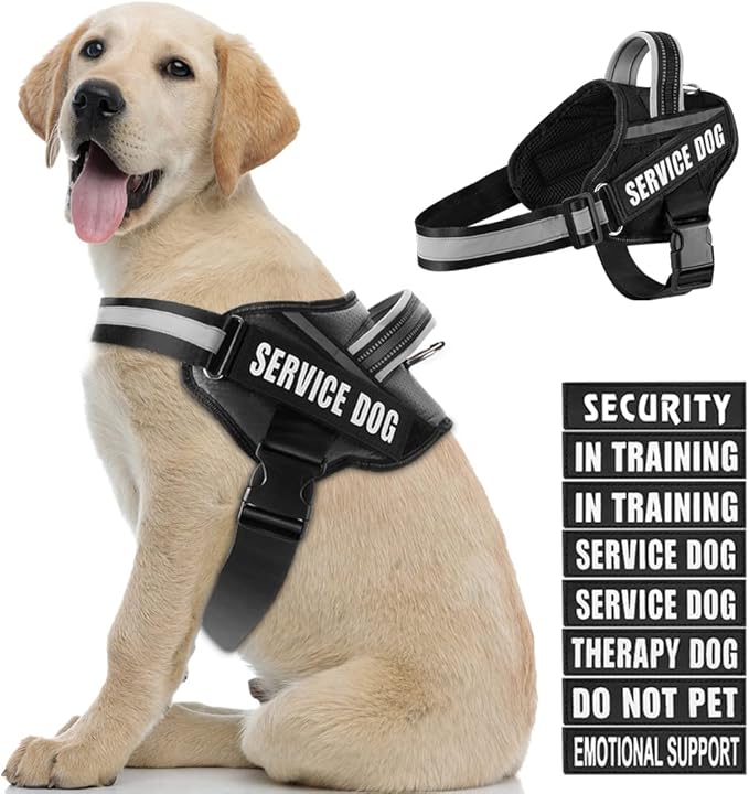 Dog Vest Harness and Patches Set, Animire in Training Service Dog Harness with 10 Dog Patches, Reflective Dog Vest with Handle for Small, Medium, Large, and Extra-Large Dogs