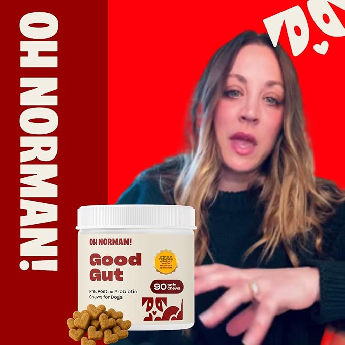 Oh Norman! Probiotic Chews for Dogs, Probiotics for Dogs Digestive Health with Enzymes, Allergy Relief for Seniors, Probiotics for Dog Wellness and Comfort