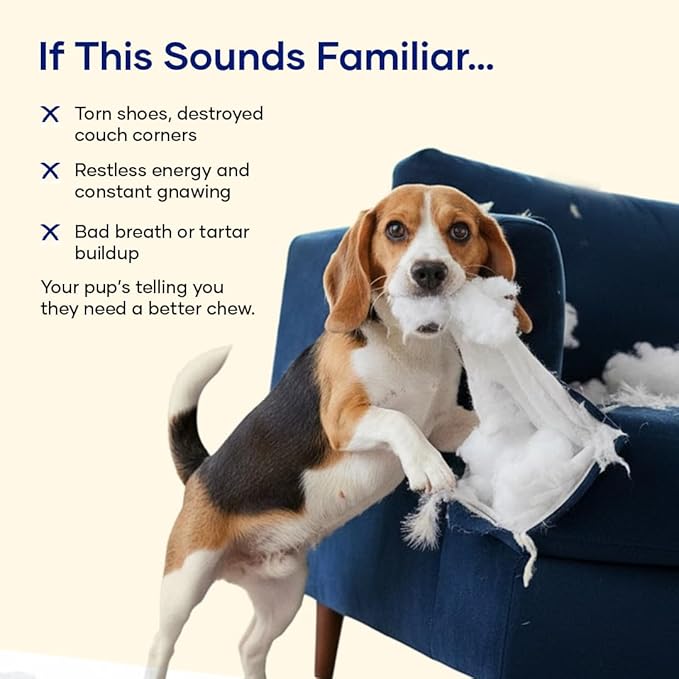 Wishbone – Bacon Flavored Dog Chew Toy | Durable, Long-Lasting, Teeth Cleaning | Safe for Heavy Chewers