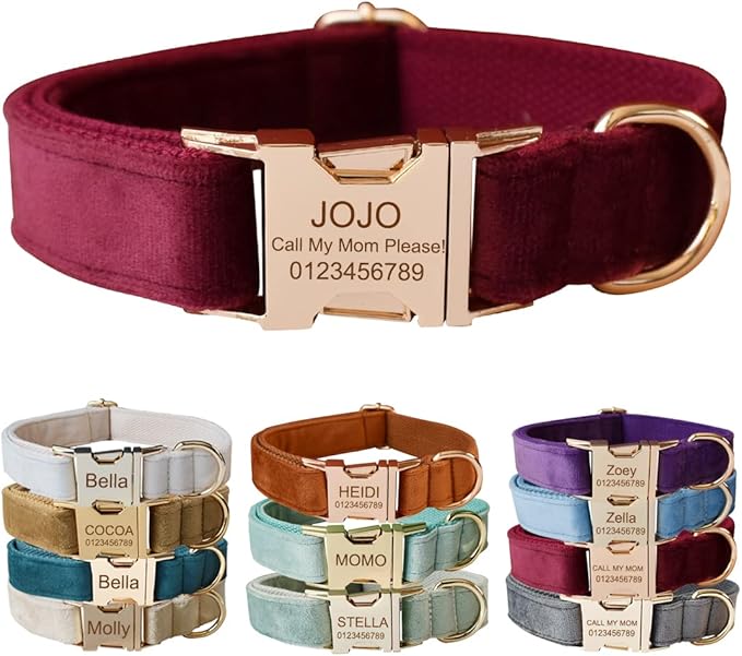 Custom Dog Collar with Metal Buckle - Pet Collars Personalized with Name and Phone Number (Velvet Style1)