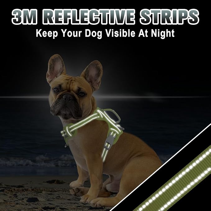 BARKBAY No Pull Dog Harness Large Reflective Dog Harness with Front Clip and Easy Control Handle for Walking Training Running with ID tag Pocket(Sunlight,XS)