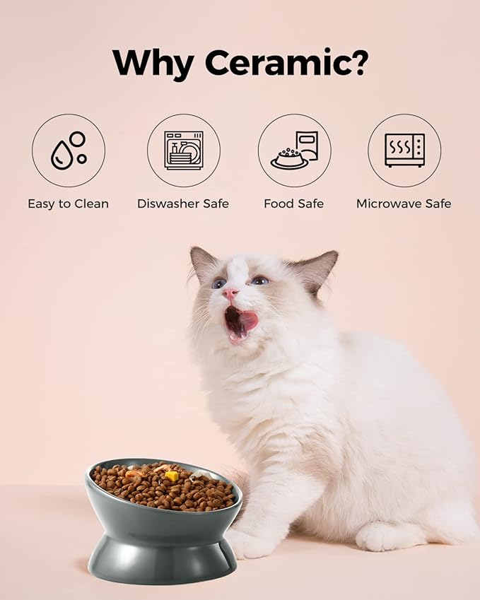 LoeJan Elevated Cat Food Bowl, 5 Oz Ceramic Raised and Tilted Water Bowl, Anti Vomiting and Protect Pets' Spines Dishes for Small Dog, Fat Faced Cat, Kitten (Gray, 1 Pack)