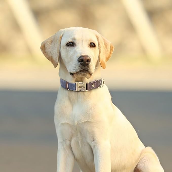 Personalized Dog Collars, Custom Soft PU Leather Dog Collar with Pet Name and Phone Number for Medium Dogs, Adjustable and Durable Pet Collars with Quick Release Metal Buckle,M(13-19")