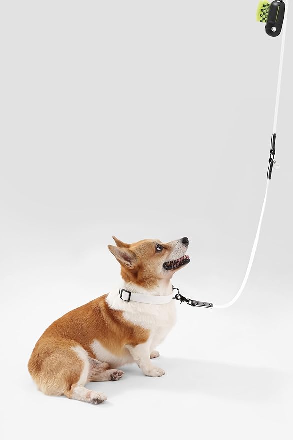 WLK1005F-5SET Luna Medium 8FT Adjustable 6-in-1 Waterproof Hands-Free Leash and Collar with LED Flashlight, Bag Dispenser, and Poop Bag Holder, Seltzer