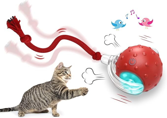 Interactive Cat Toys Ball for Indoor Cats Fast Rolling on Carpet, Chirping & Motion Activate Cat Toys (Red)