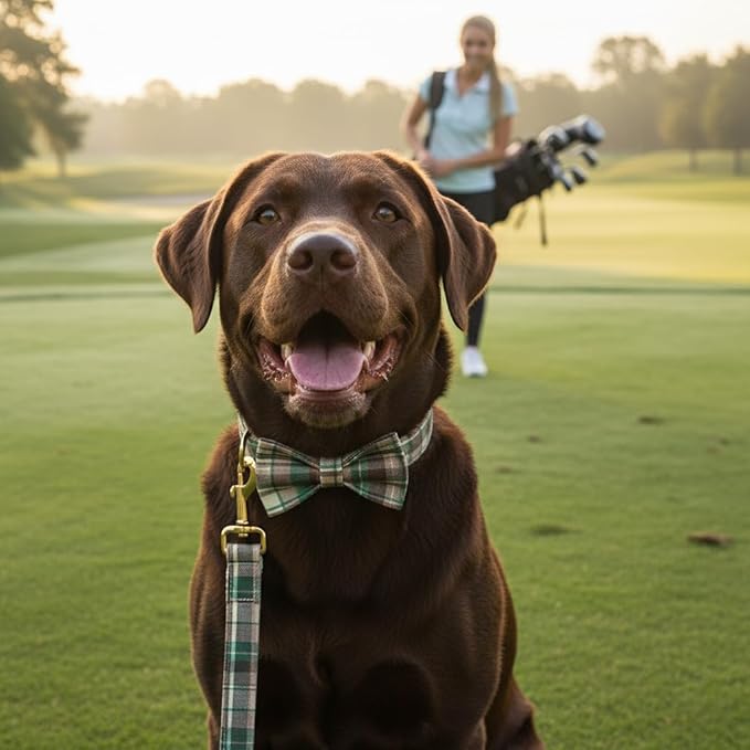 PETDURO Personalized Dog Collar Brown Green Plaid for Large Medium Dogs | Engraved Name and Phone Number on Gold Metal Buckle for Boys & Girls | Add Leash & Bow Tie via Customize Now