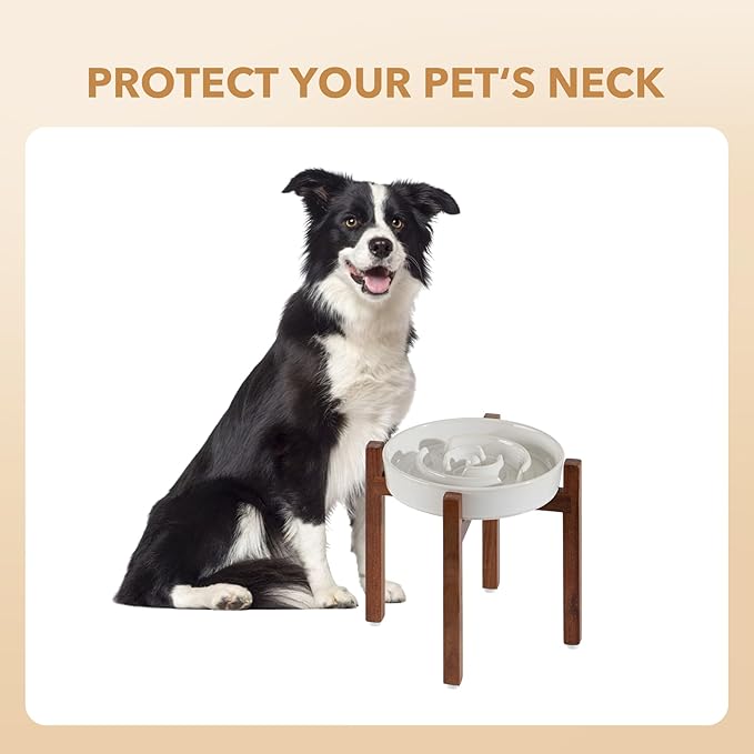 Ceramic 1.6 Cup Raised Slow Feeder Dog Bowl Set, Elevated Acacia Wood Stand for Medium and Large Dog, 8.2inch Slow Dish, Stop Bloat(Single Bowl+ Stand, Reactived Glaze -White)